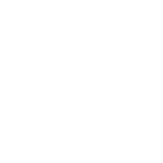 Icona stella